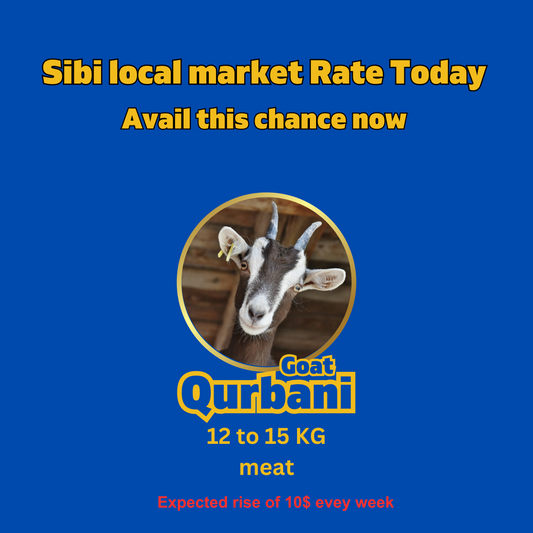 Celebrate Eid al-Adha with a Qurbani Goat at Unbeatable Prices!