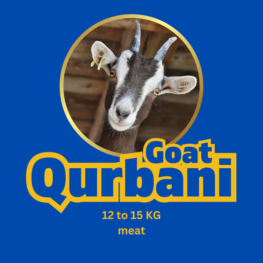 High-Quality Qurbani Services - Order Now | Best Deals