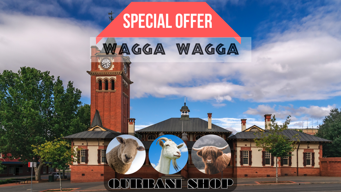 online qurbani services in Wagga Wagga, Australia.