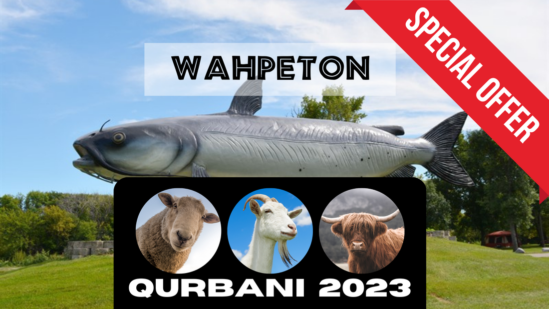 Online Qurbani 2023 services in wahpeton north Dakota. USA