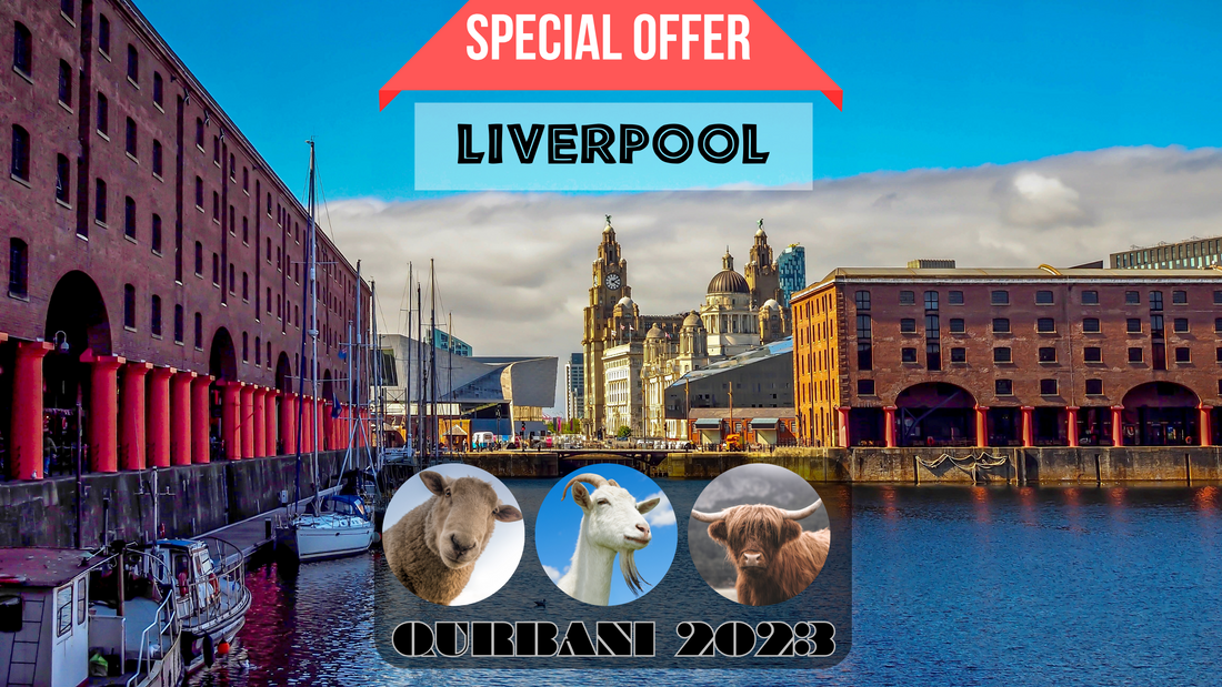 online qurnbani 2023 services in Liverpool united kingdom.