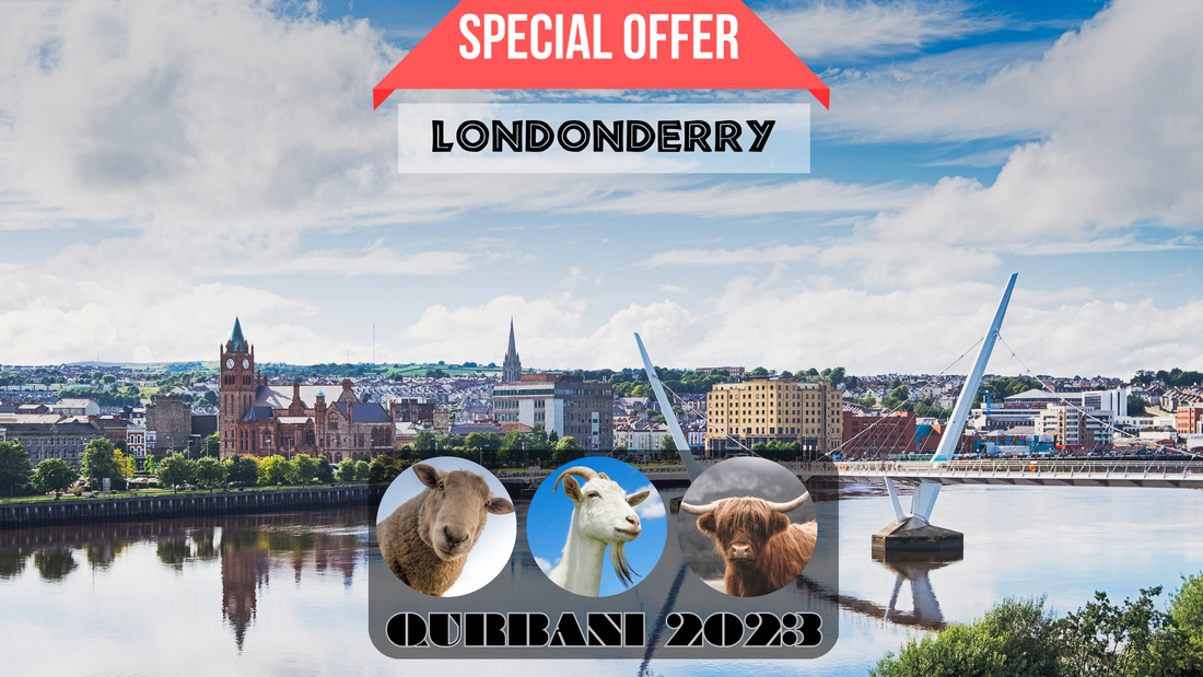 online qurbani 2023 services in Londonderry united kingdom.