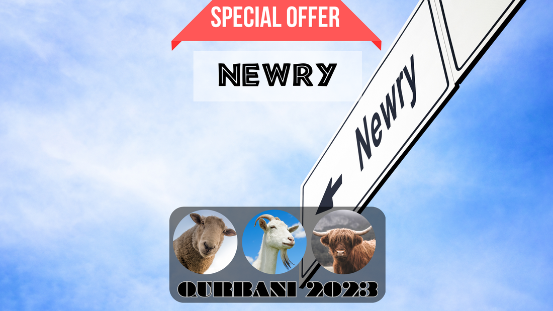 online qurbani 2023 services in Newry united kingdom.