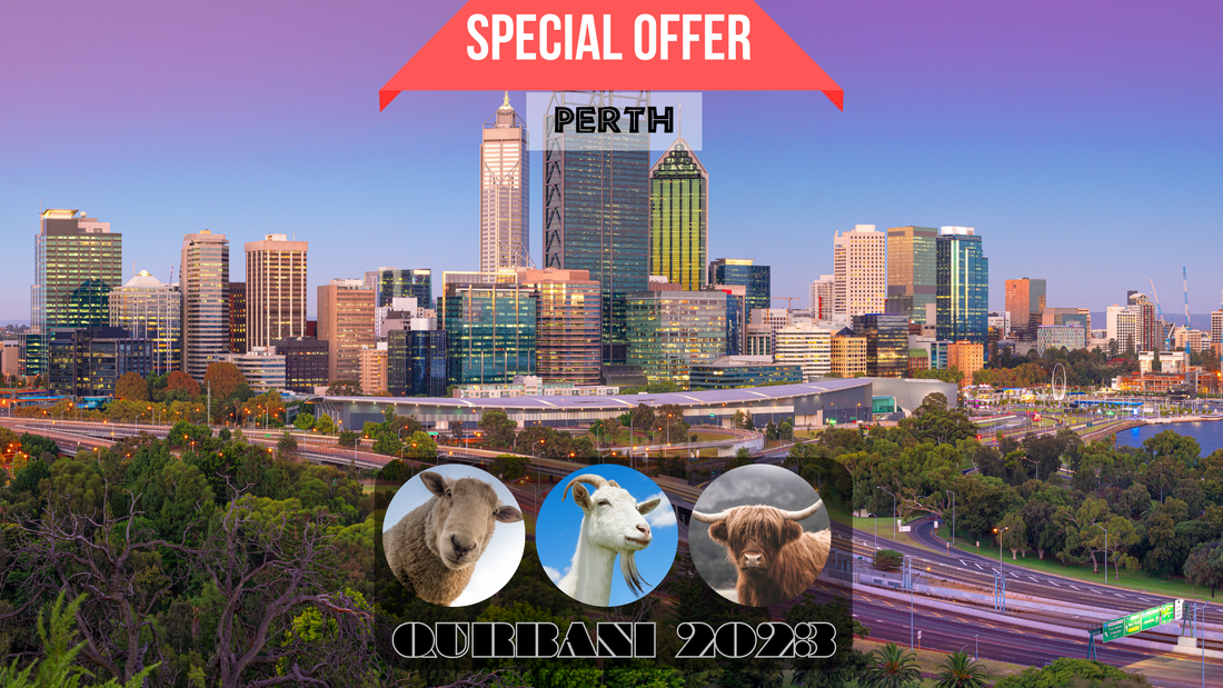 online qurbani 2023 services in Perth united kingdom.