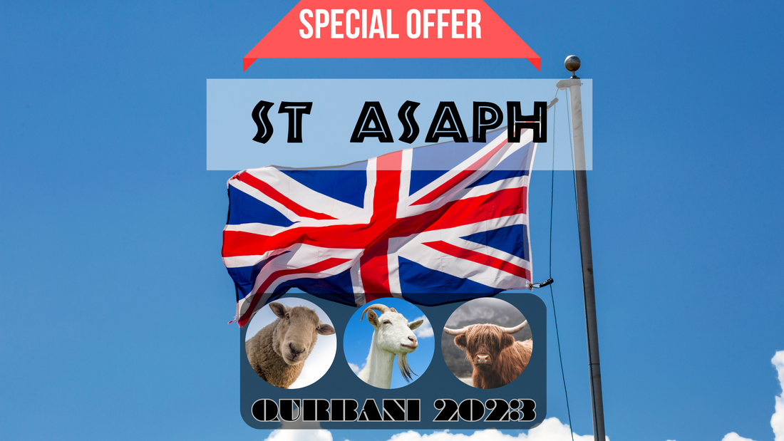 online qurbani 2023 services in St Asaph united kingdom