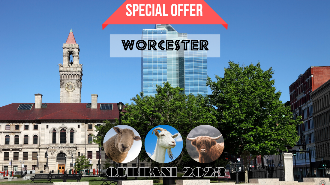 online qurbani 2023 services in Worcester united kingdom.