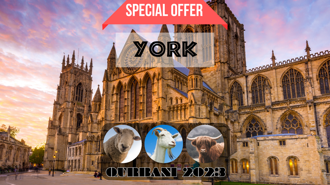 online qurbani 2023 services in York united kingdom.