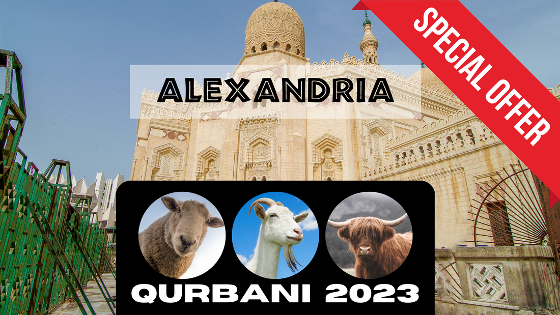 Online Qurbani 2023 services in Alexandria Minnesota. USA