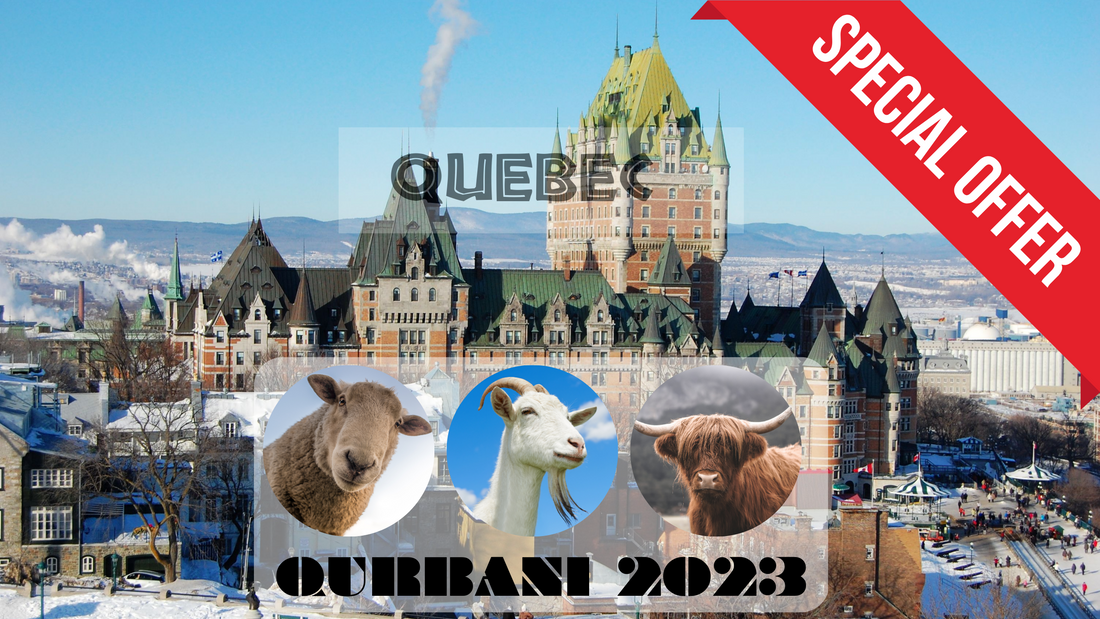 Online Qurbani 2023 services in Quebec city Quebec Canada