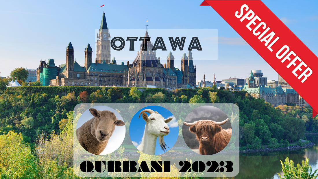 Online Qurbani 2023 services in Ottawa Ontario Canada