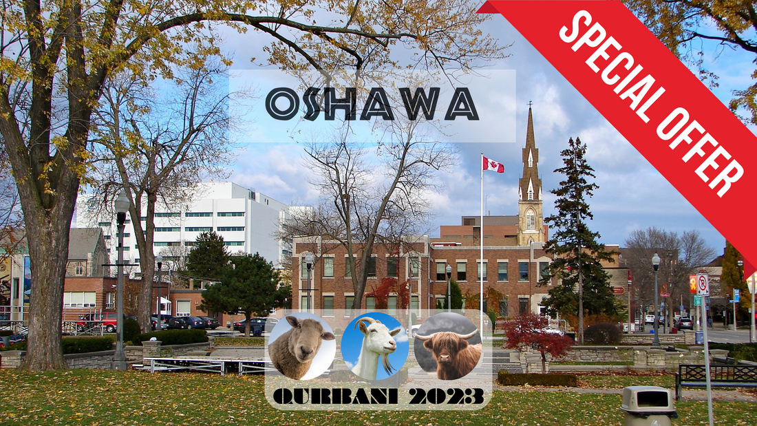 Online Qurbani 2023 services in Oshawa Ontario Canada