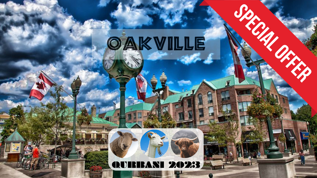 Online Qurbani 2023 services in Oakville Ontario Canada