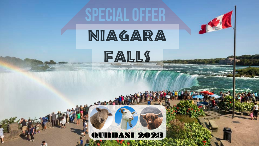 Online Qurbani 2023 services in Niagara falls Ontario Canada