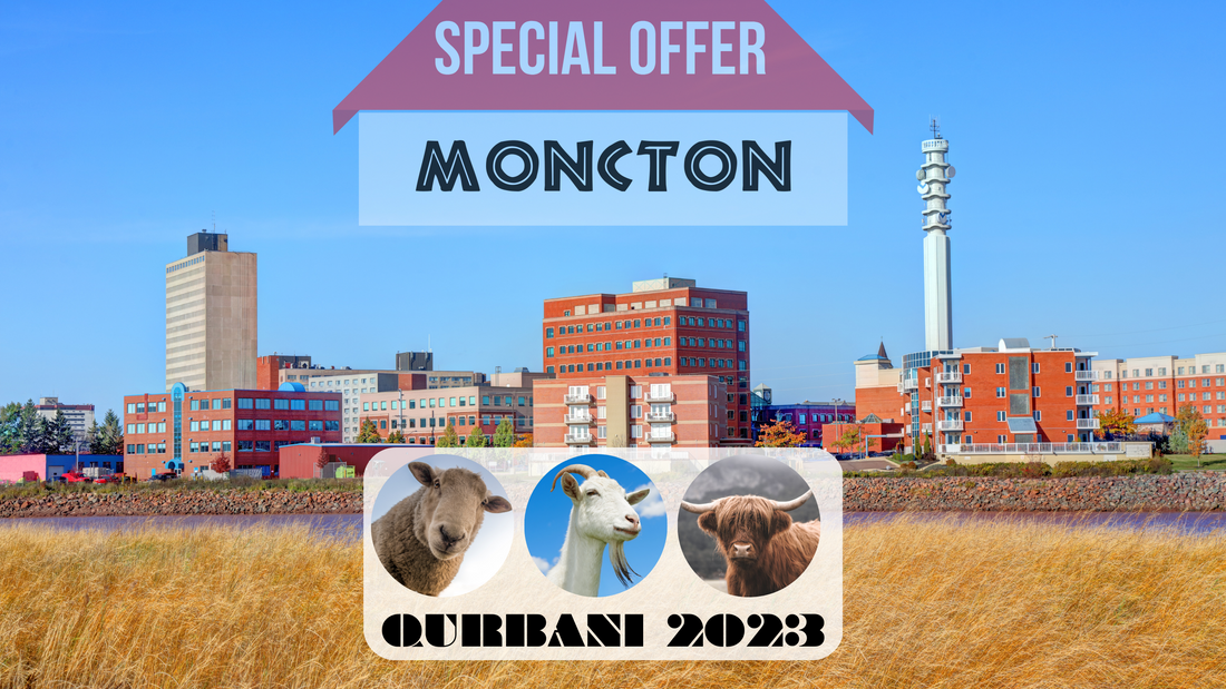 Online Qurbani 2023 services in Moncton New Brunswick Canada
