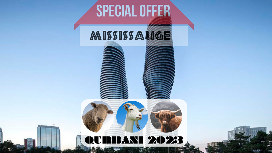 Online Qurbani 2023 services in Mississauge Ontario Canada
