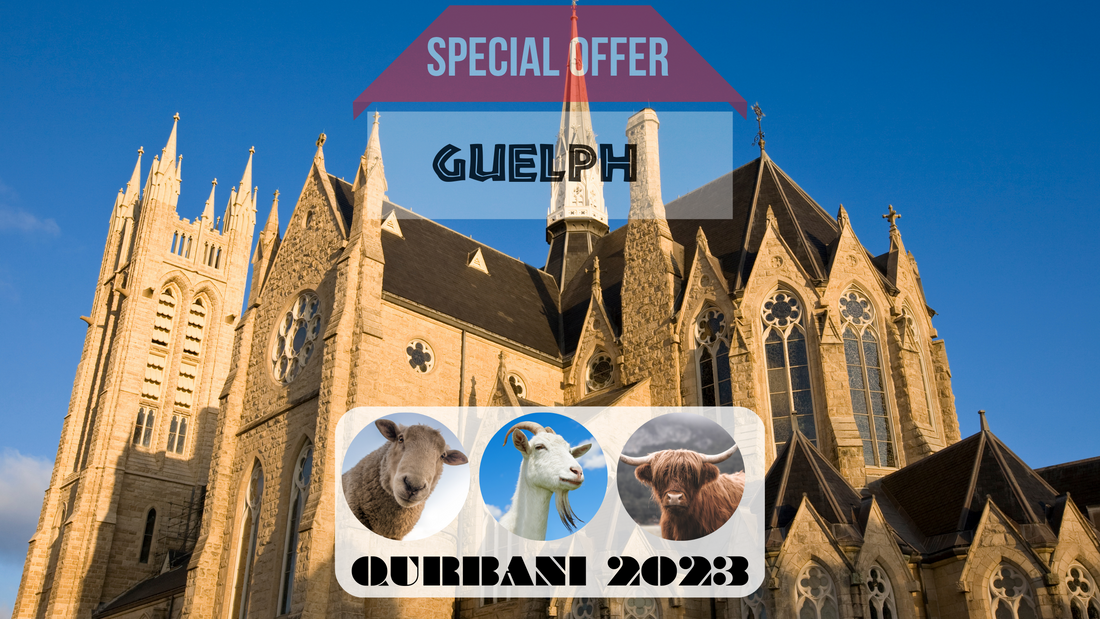 Online Qurbani 2023 services in guelph Ontario Canada