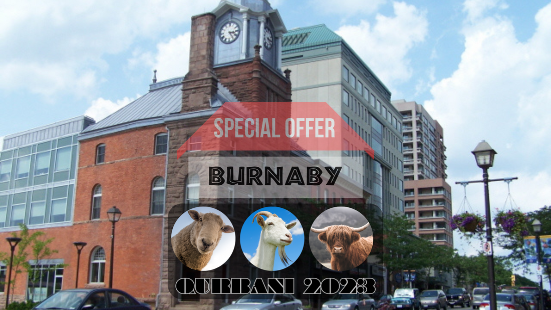 Online Qurbani 2023 services in Brampton Ontario Canada
