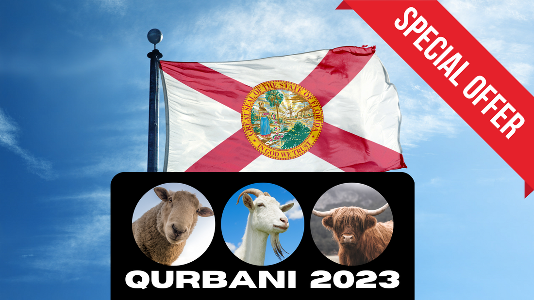 Online Qurbani 2023 services in Florida.USA