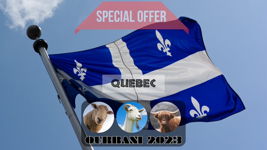 Online Qurbani 2023 services in Quebec Canada