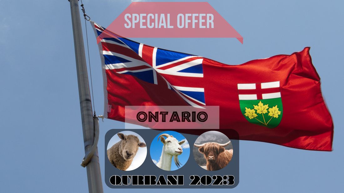 Online Qurbani 2023 services in Ontario Canada
