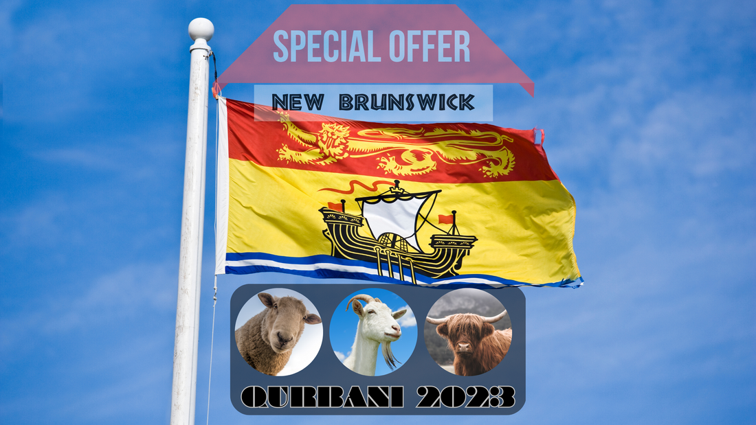 Online Qurbani 2023 services in new Brunswick Canada