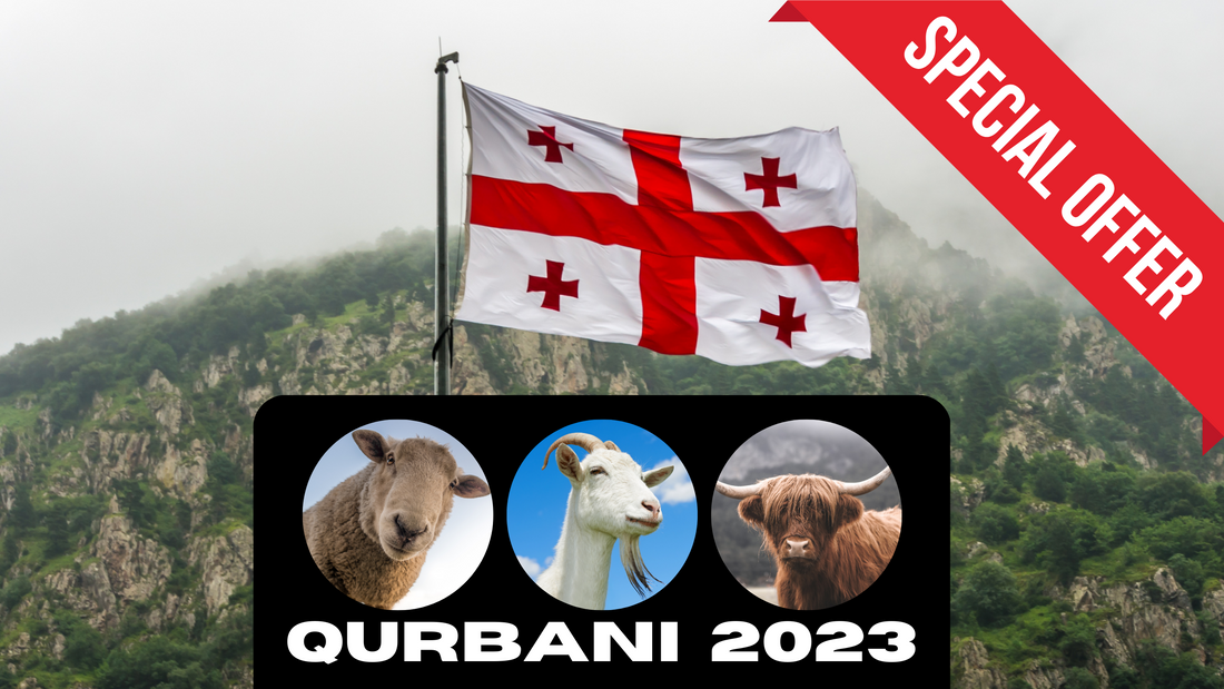 Online Qurbani 2023 services in Georgia.USA