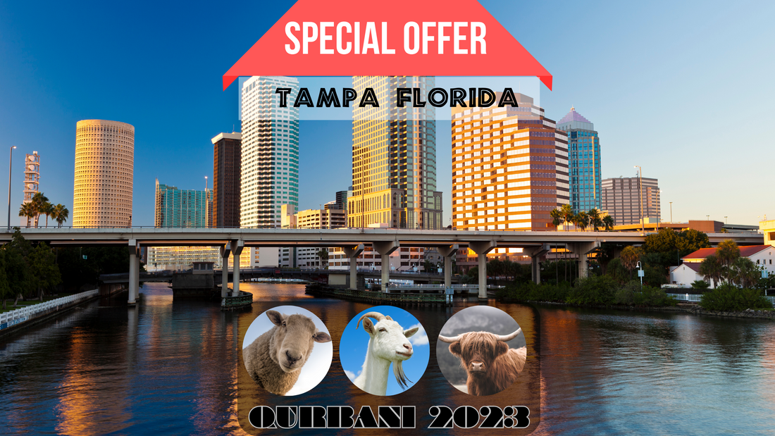 Online Qurbani 2023 services in Tampa Florida. USA