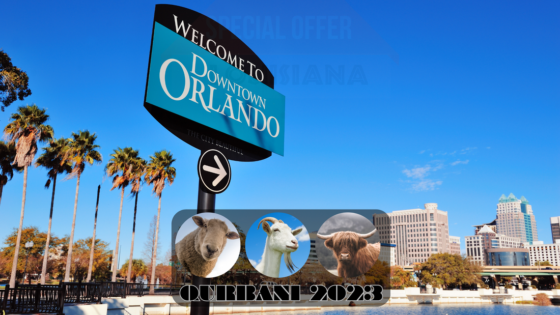 Online Qurbani 2023 services in Orlando Florida. USA
