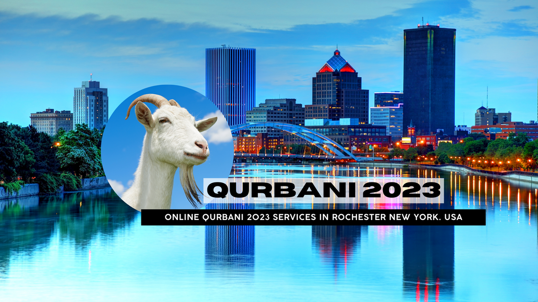 Online Qurbani 2023 services in Rochester New York. USA