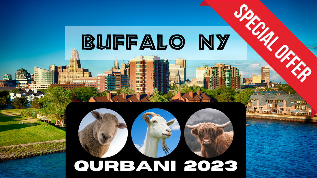Online Qurbani 2023 services in buffalo NY. USA