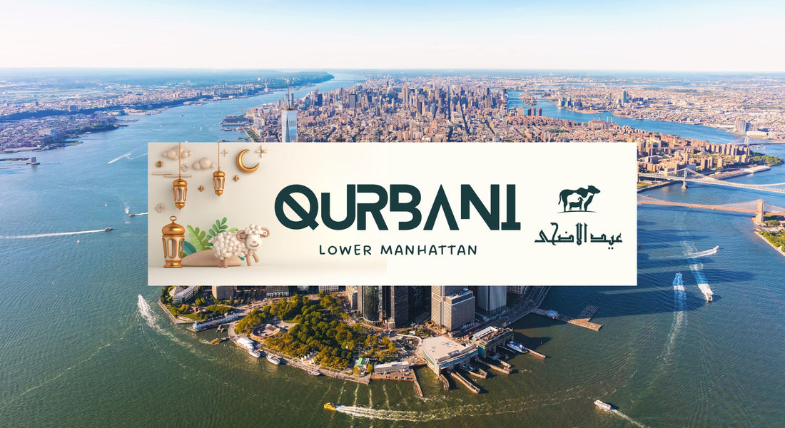 Qurbani, udhiyah in Lower Manhattan