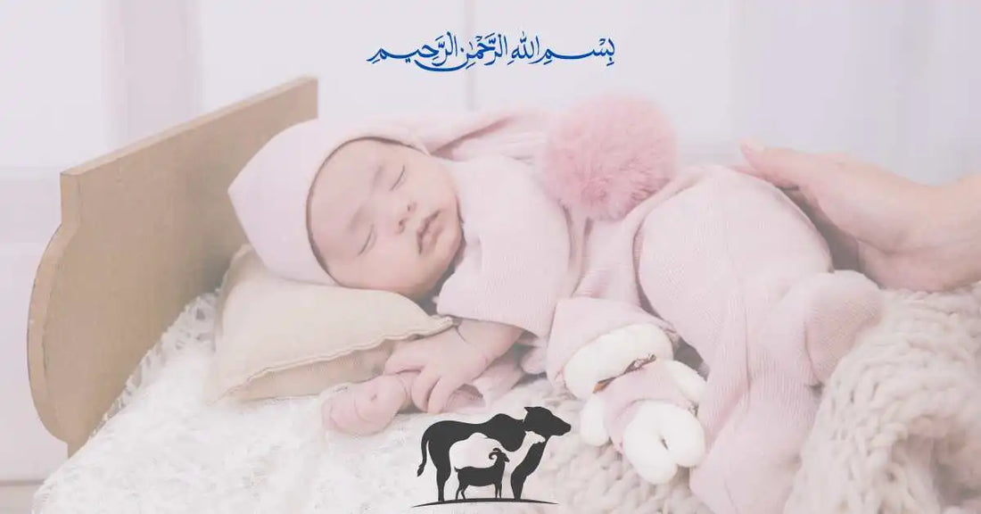 Aqiqah: Celebrating the Arrival of a Newborn