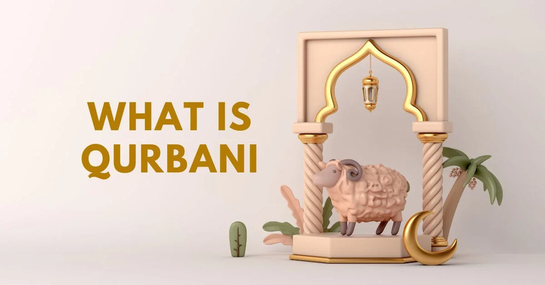 Understanding the Significance of Qurbani: A Comprehensive Guide
