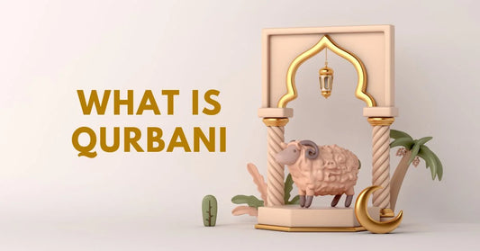 Understanding the Significance of Qurbani: A Comprehensive Guide
