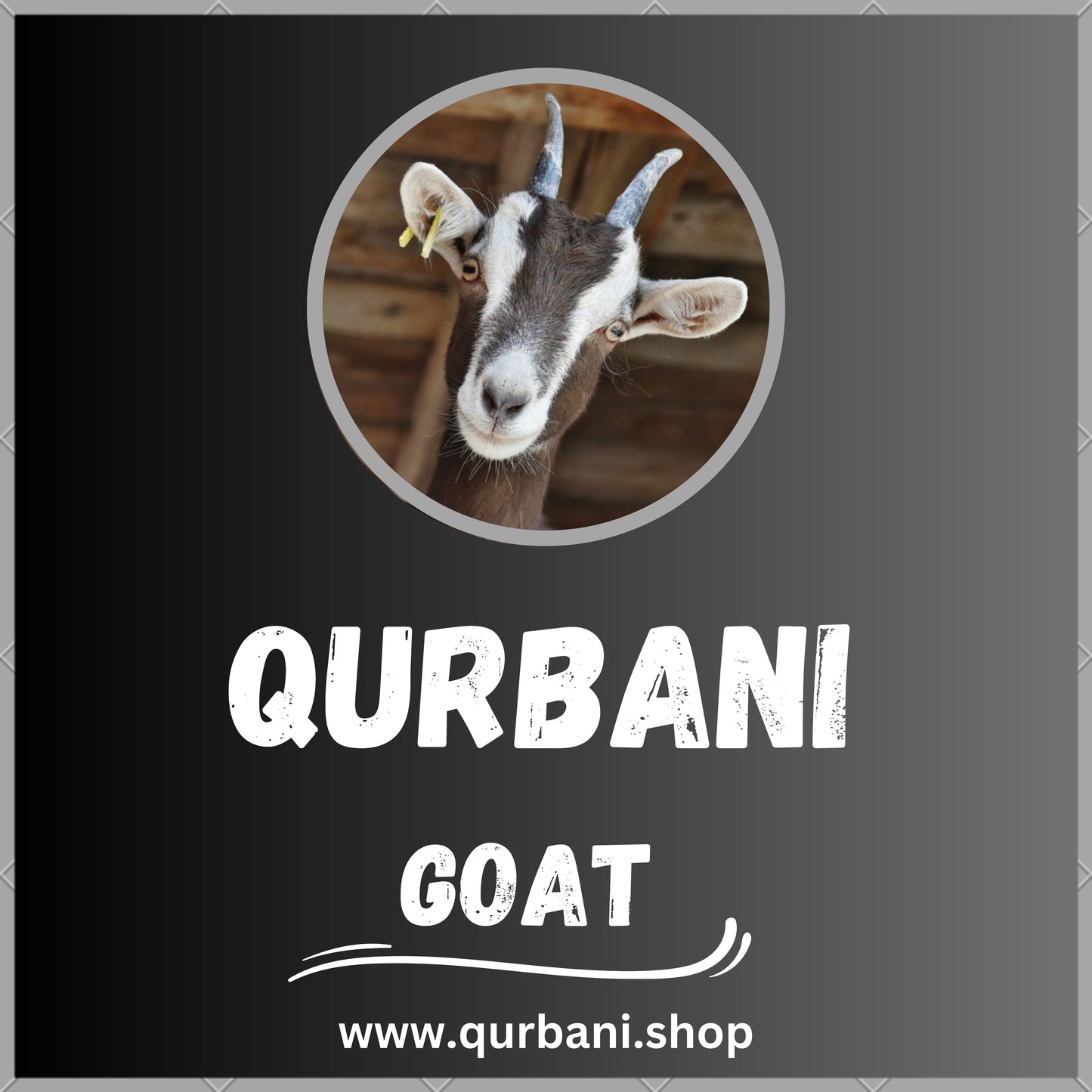 Eid-ul-Adha Qurbani Services in Salinas | High-Quality Sacrificial Animals