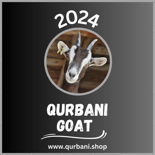 Goat Qurbani Services for Eid - Choose Your Perfect Sacrifice