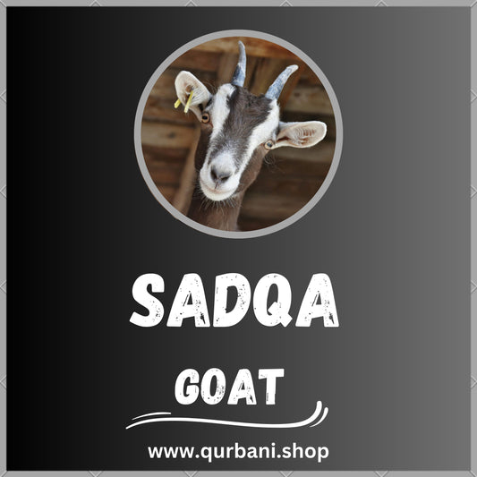 Sadqa Goat