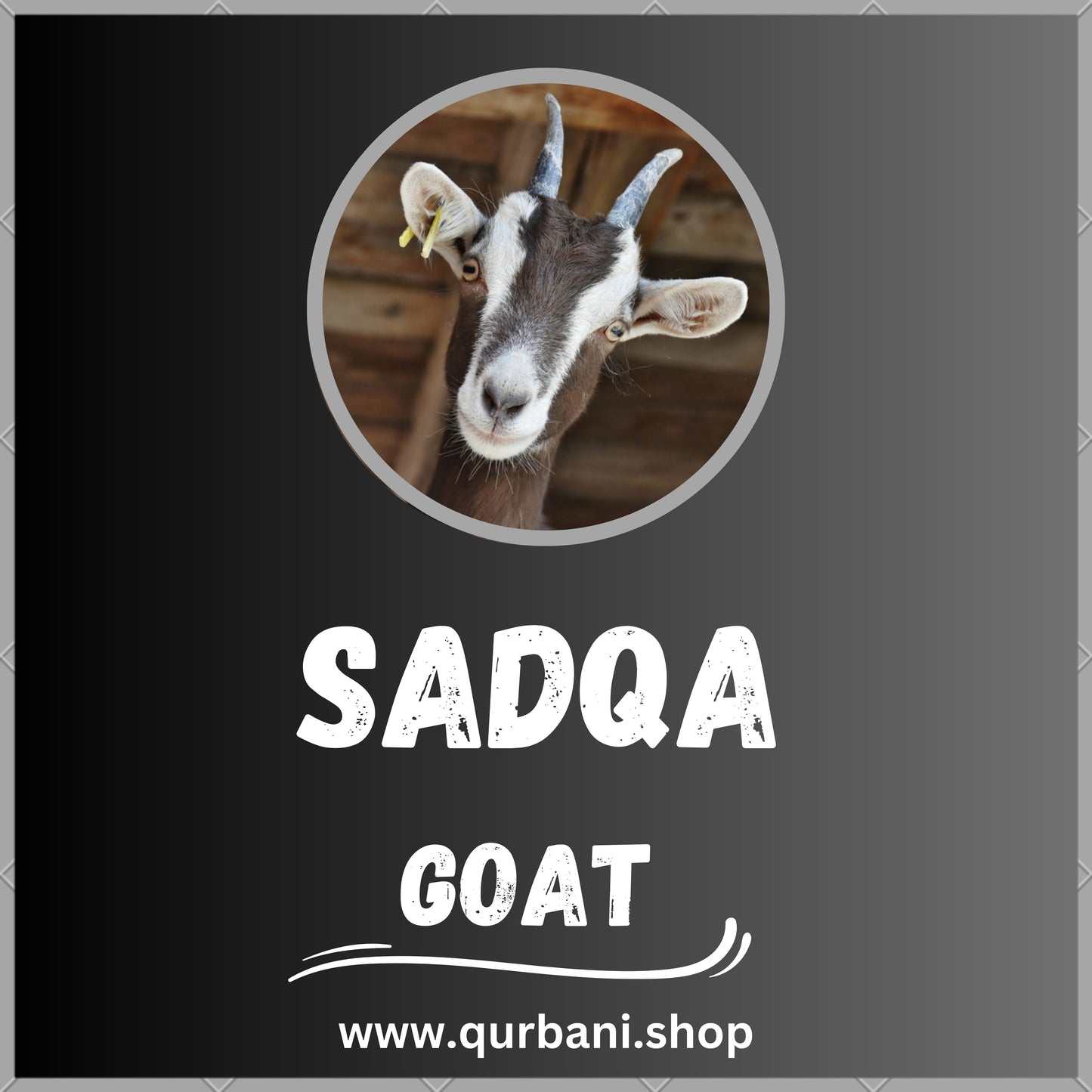 Meaningful Goat Sadqa for Lasting Rewards - Give Today