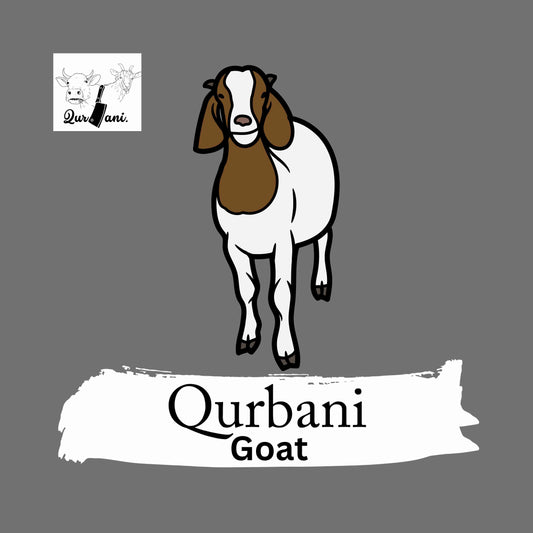 Copy of Authentic Indian Qurbani Services for Eid - Book Now